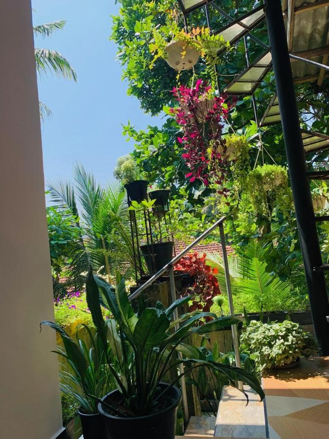 Art House Hotel ดิคเวลลา ภายนอก รูปภาพ